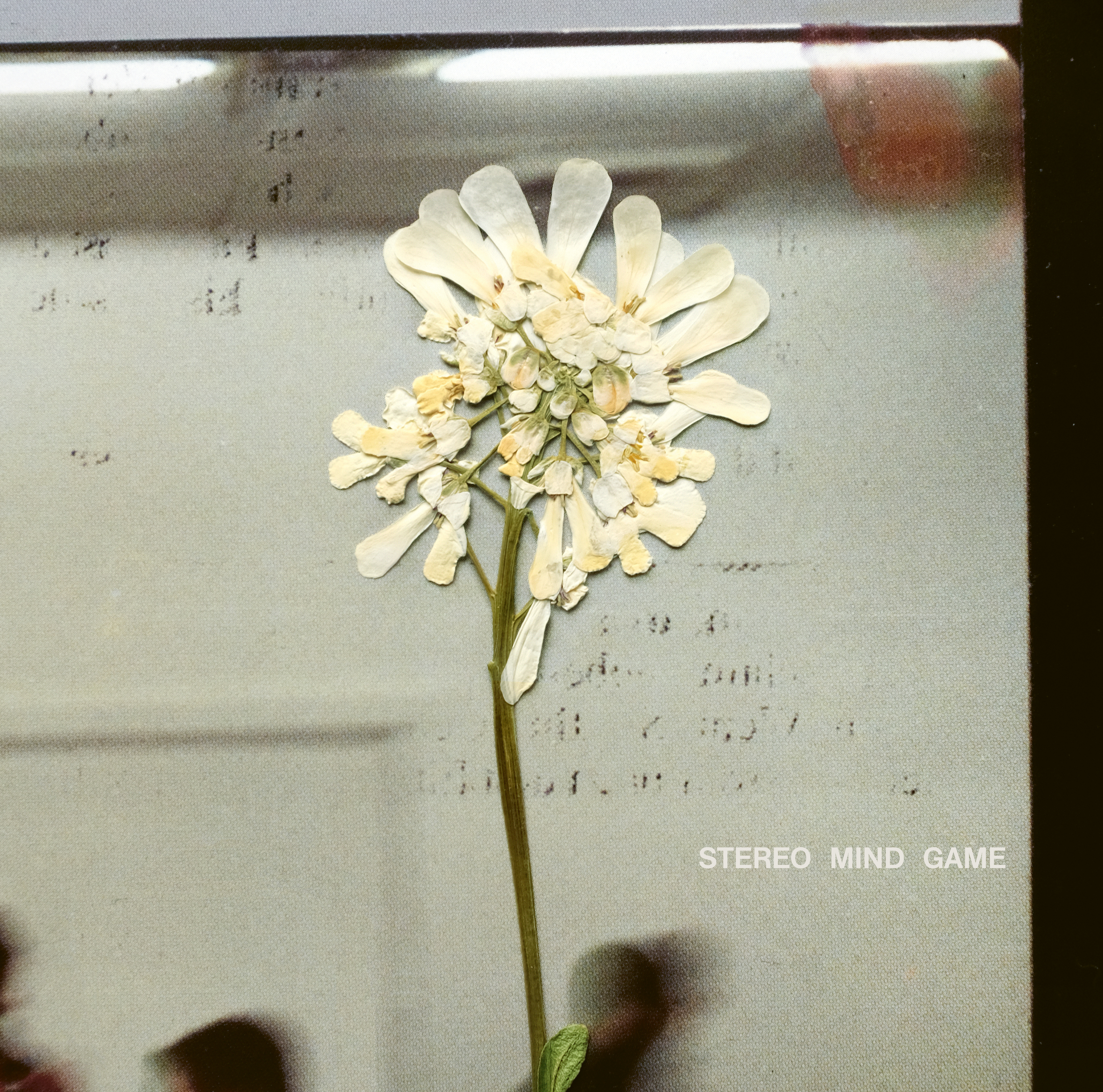 Daughter: Stereo Mind Game ★★★☆☆