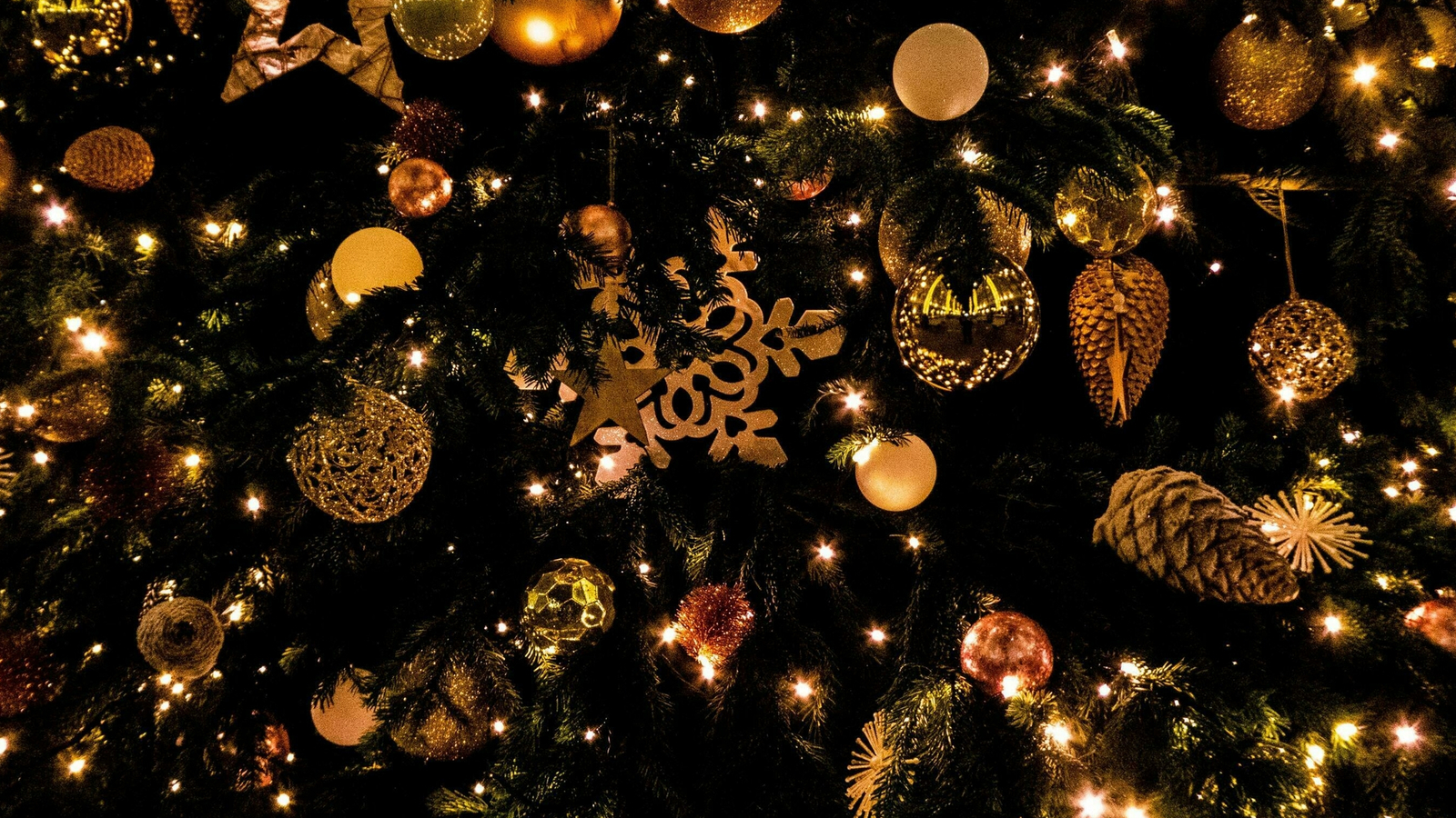 Festive  Santa's Grotto 2025