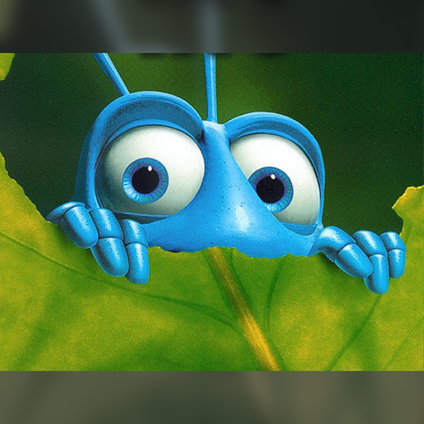 A Bug's Life
