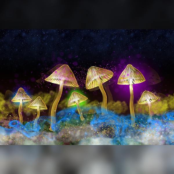 The Science Of Psychedelics With Maria Balaet