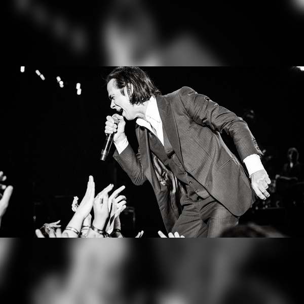 Nick Cave 