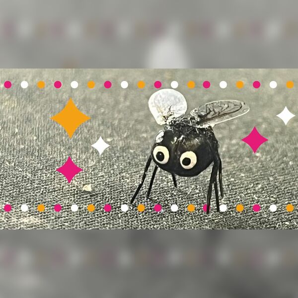 Make a Fly Workshop
