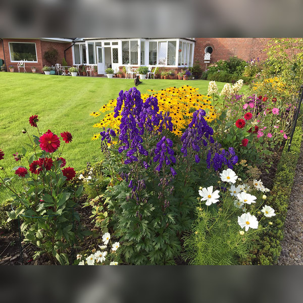 Charity Garden Opening - Gardener's Cottage Walled Garden