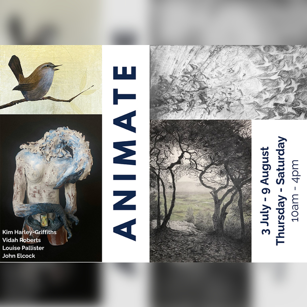Animate Exhibition at the Lake Gallery