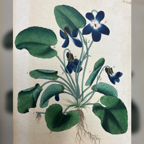 Art of the Book: Illustration in Early Printed Books