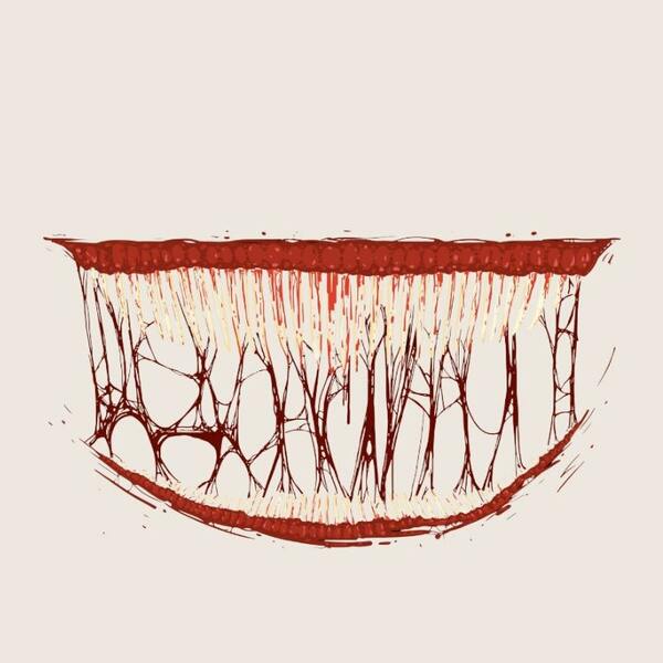 The Psychology Of Horror Movies: How Horror Speaks To The Subconscious