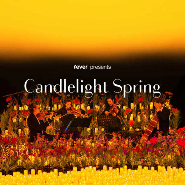 Candlelight: Coldplay and Ed Sheeran