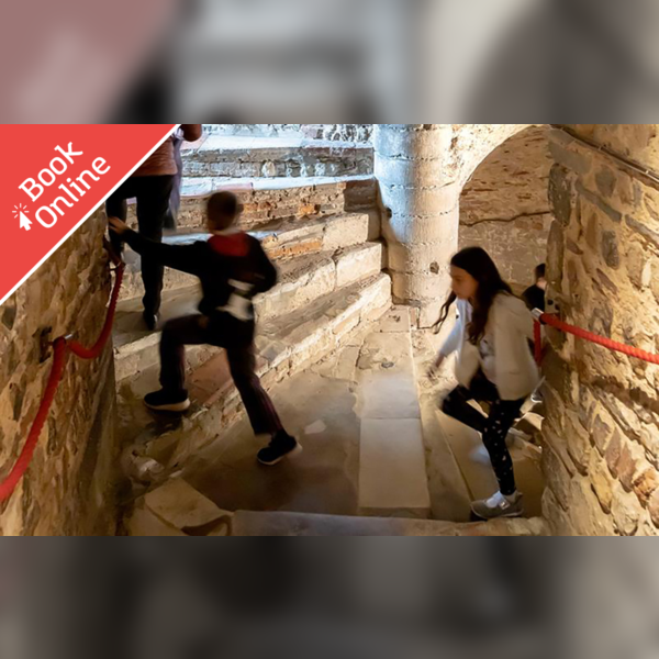 Mythical Castle Creatures: Family Tour