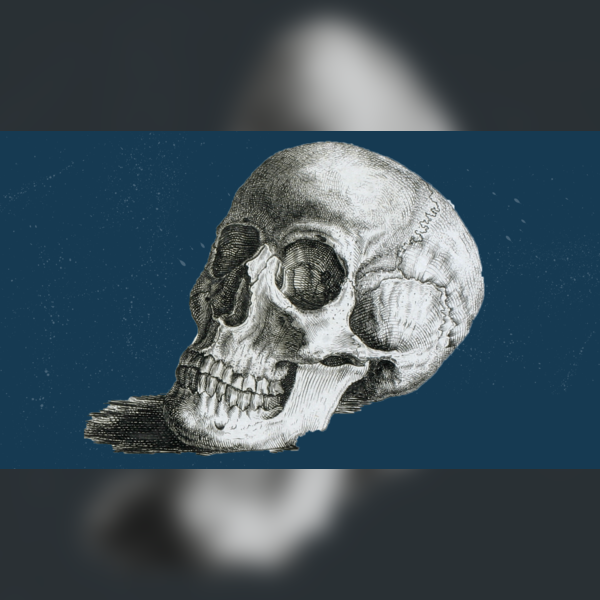 Blood and Guts: The Twists and Turns of Edinburgh's Medical History