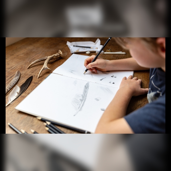 Drawing club for home educators, 5-11 year olds