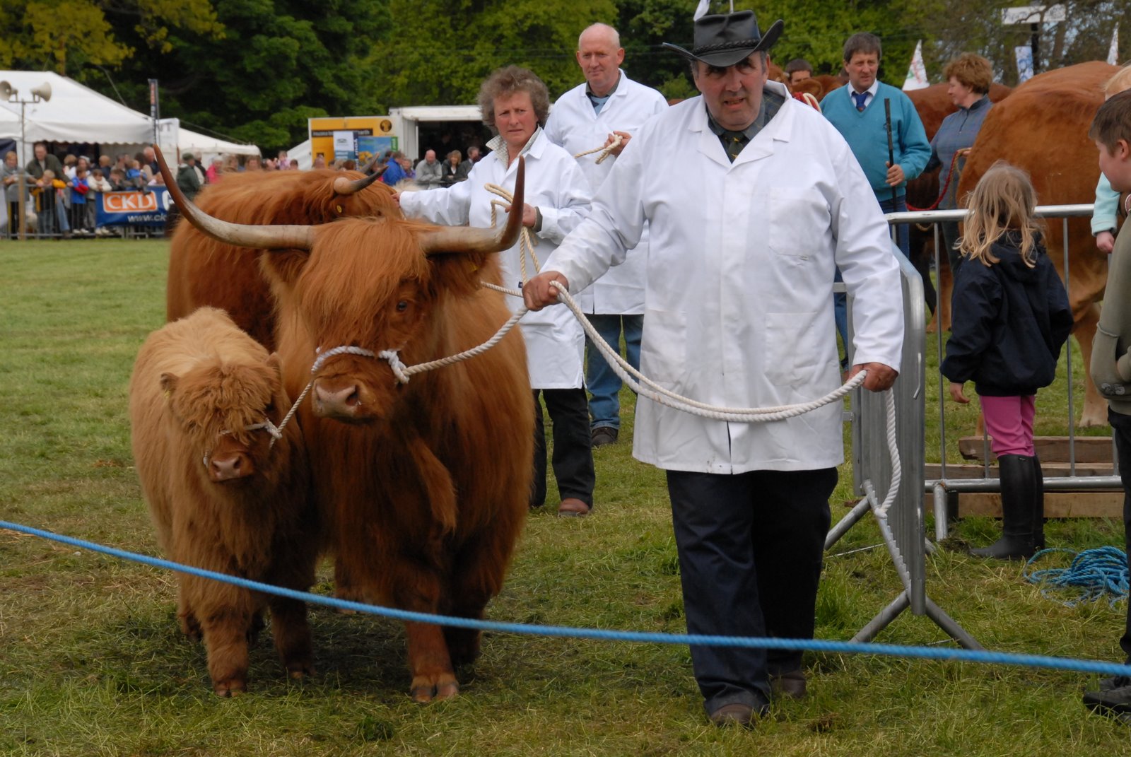 The Fife Show
