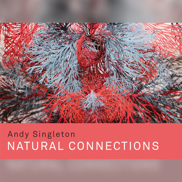 Andy Singleton, Natural connections