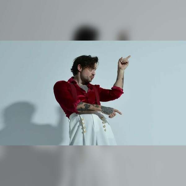 The Harry Styles Tribute Show