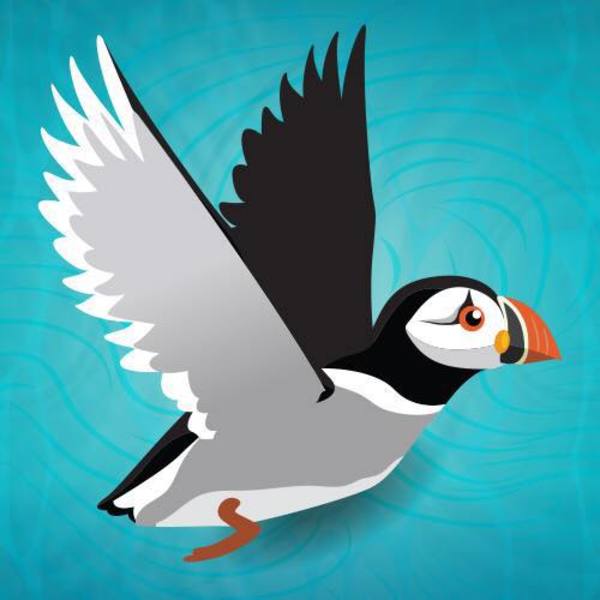 Anstruther Harbour Festival
