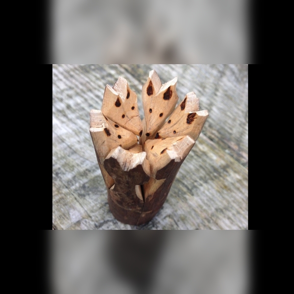 Lichfield Concert Band Presents: Music in Space!