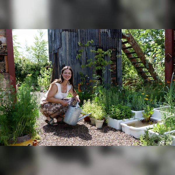 Re-wilding landscapes and Gardens with Frances Tophill