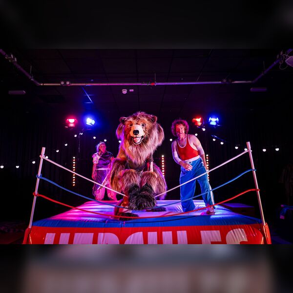 Hercules The Bear