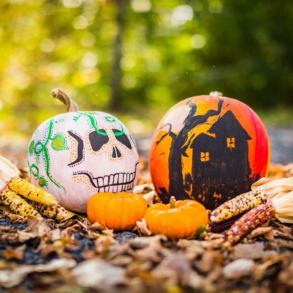 Wild Magic! An Autumn Family Trail