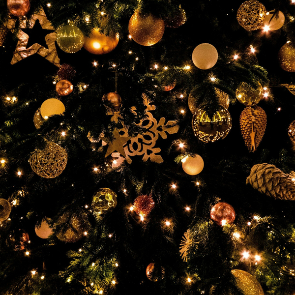 Des Coleman's Hollywood Christmas Extravaganza