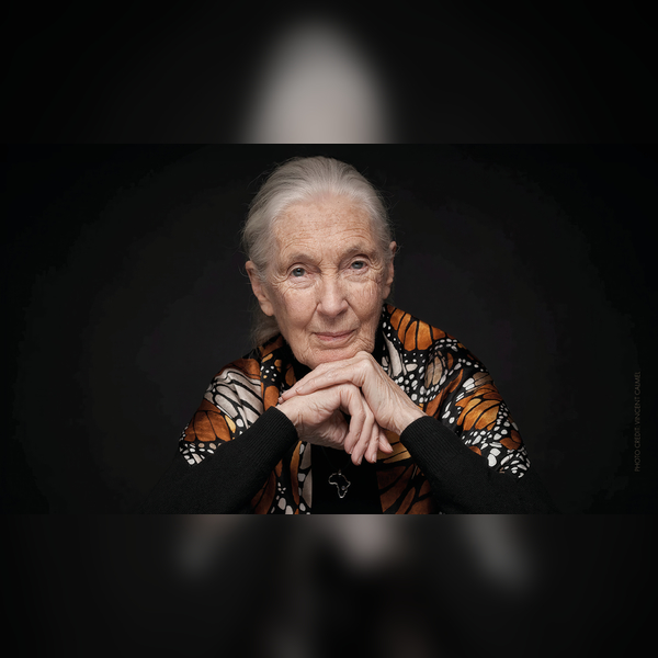 Jane Goodall: My Life, My Legacy
