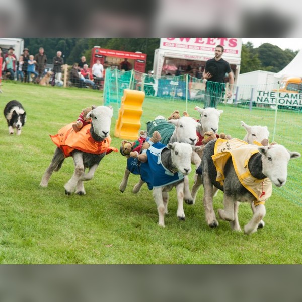 Galloway Country Fair