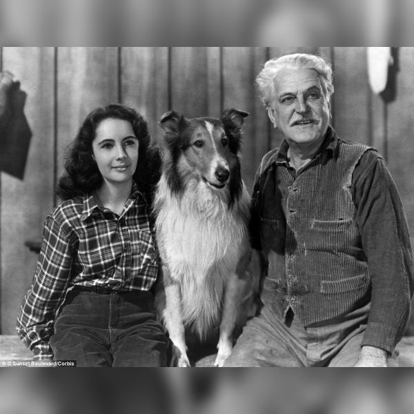 Lassie Come Home