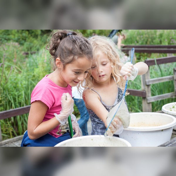 Discovery Day – Pond dipping & Bug hunting.
