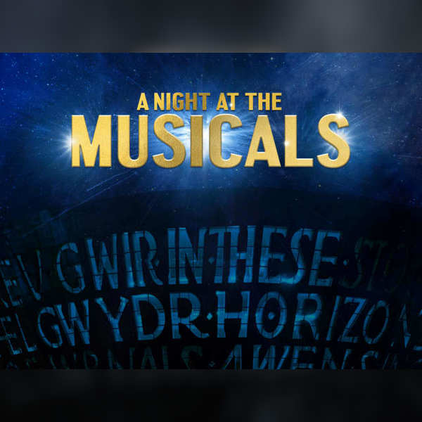 A Night At The Musicals