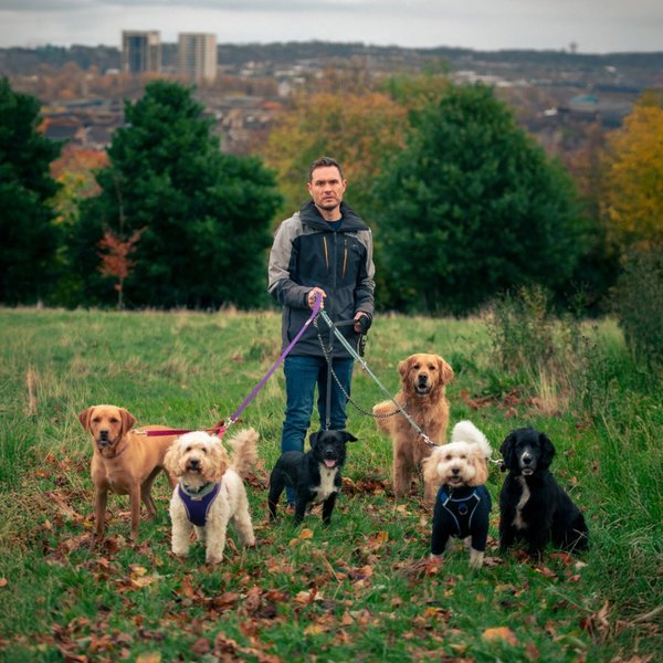 Man's Best Friend