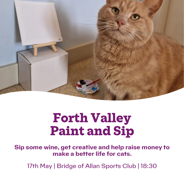 Forth Valley Paint and Sip
