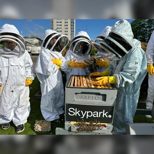 Meet the Bees at Skypark