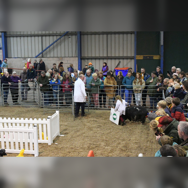 Scottish Smallholder Festival