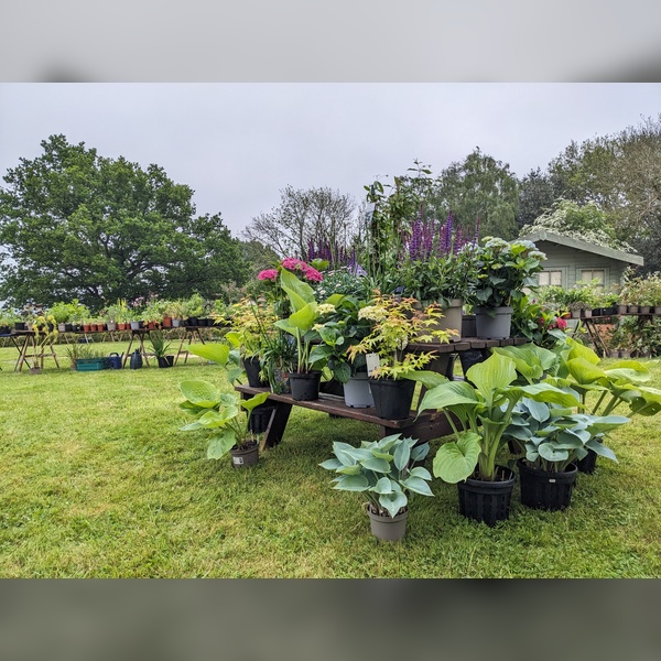 Plant Sale and Open Gardens