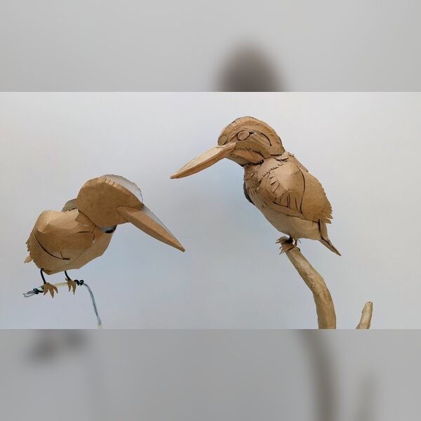 Cardboard Kingfisher Workshop