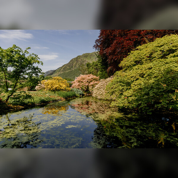 Benmore Guided Walks Every Sunday and Tuesday