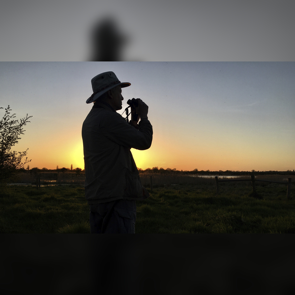 Guided Walk: Experience the Dawn Chorus