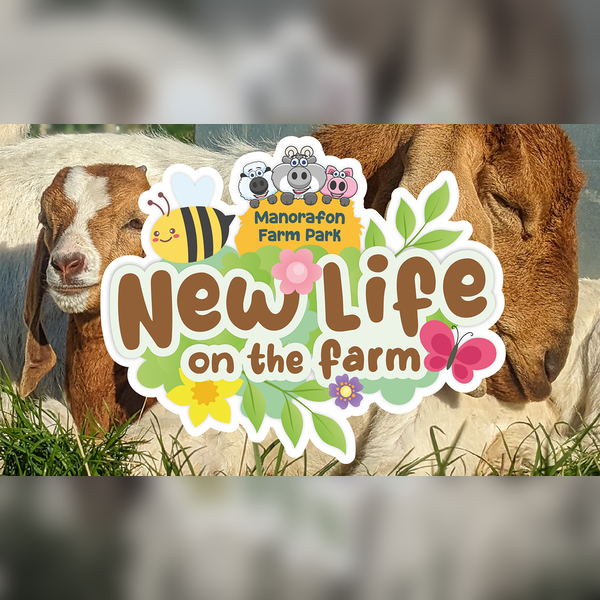 New Life on The Farm