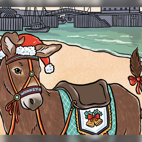 Wonkey Donkey & the Magic Christmas Carrot