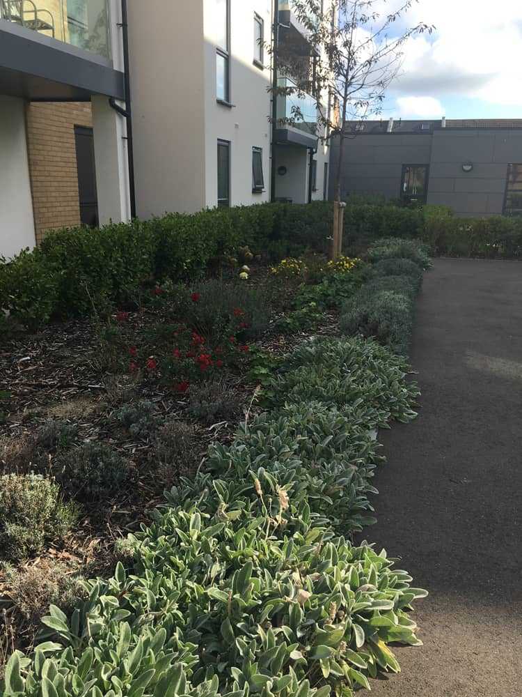 Worthing Redfields Landscaping & Design