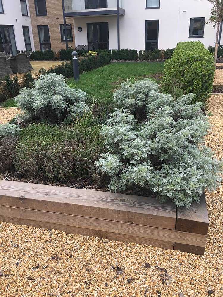 Worthing Redfields Landscaping & Design