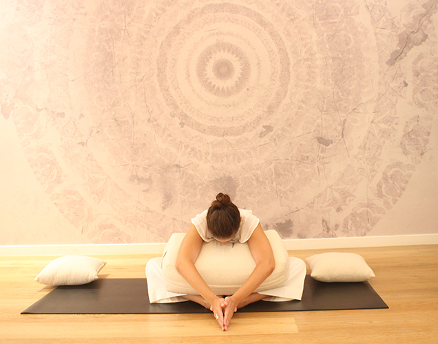 Therapeutic Yoga - 137 - Private
