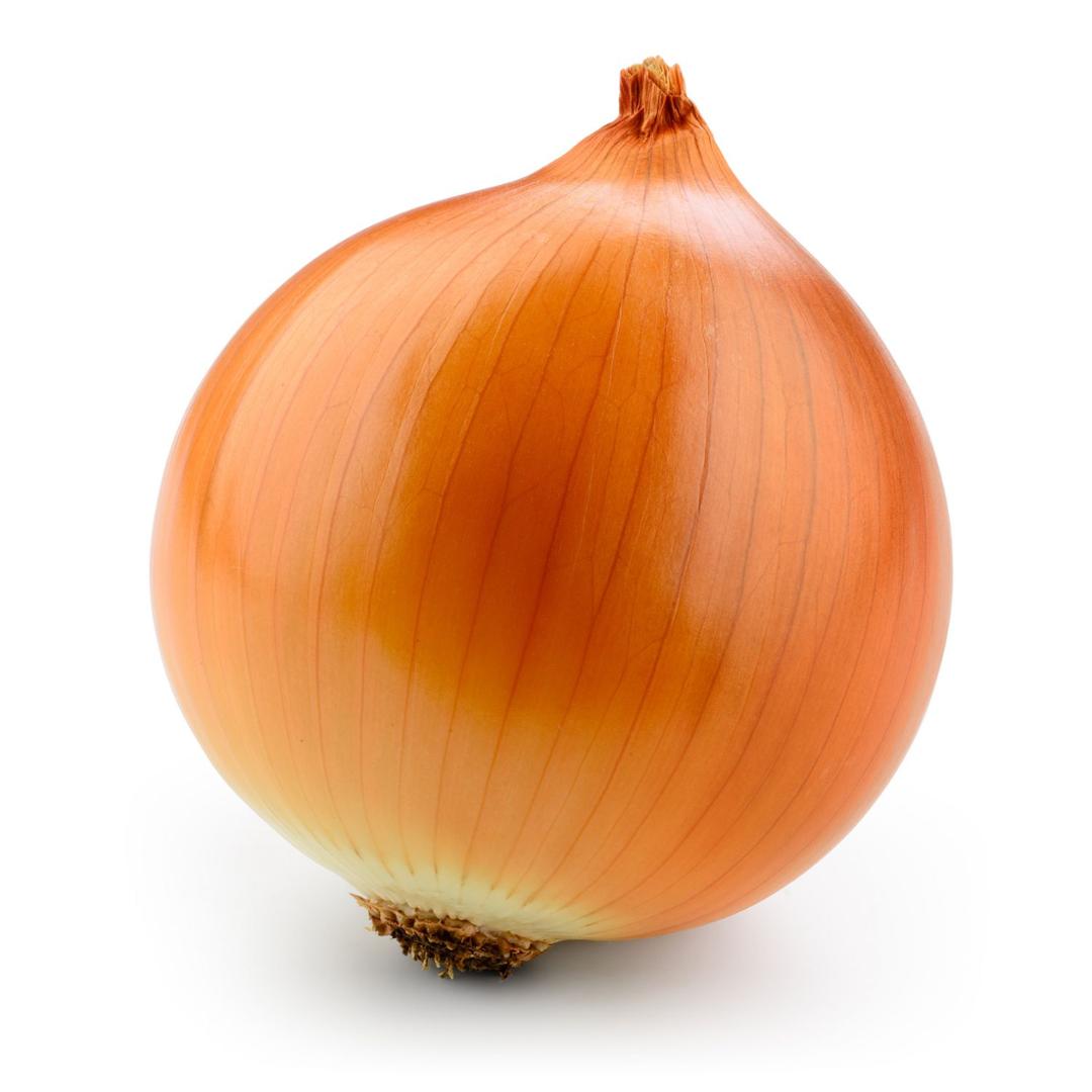 Onion (Large)