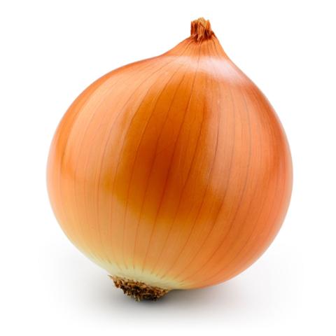 Onion (Large)