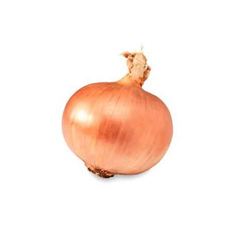 Onion