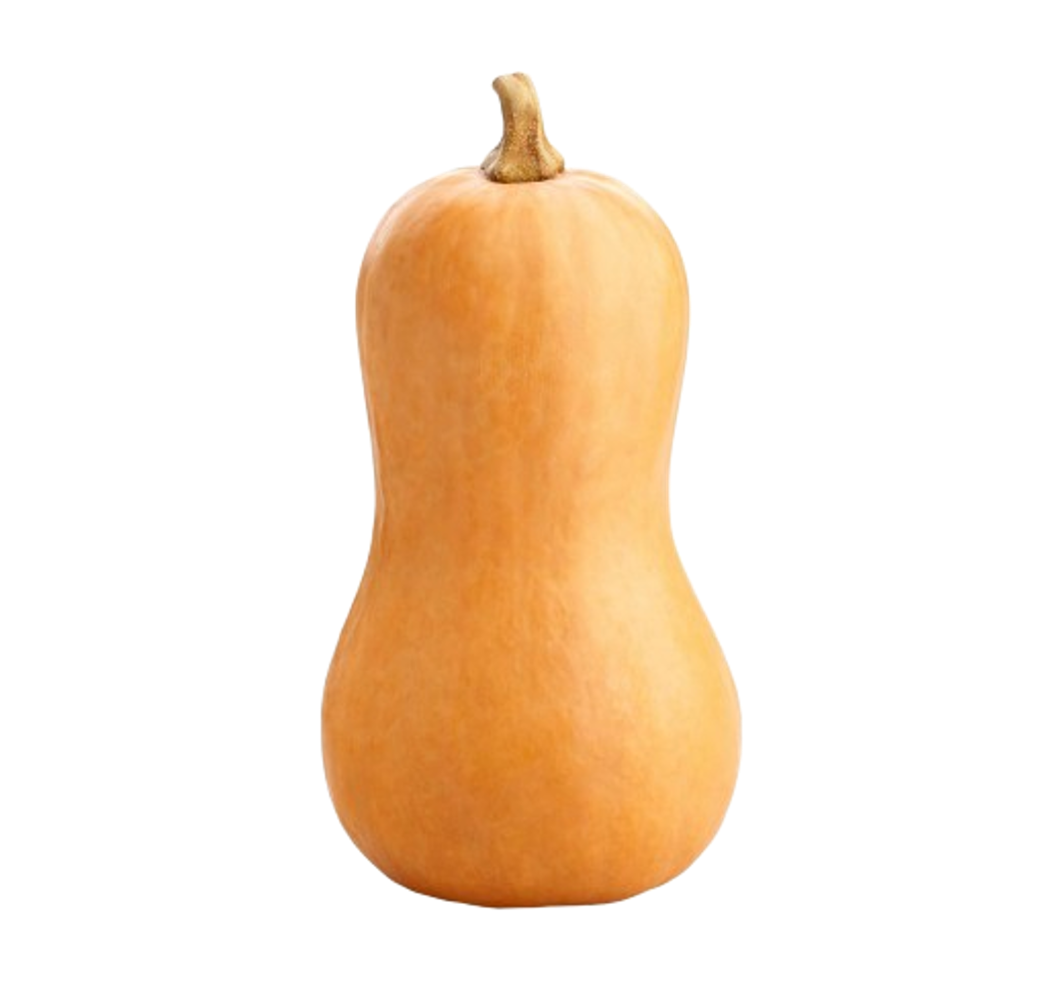 Butternut Squash