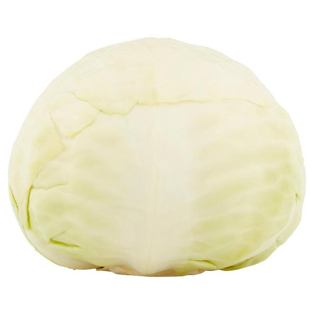 Cabbage (White)