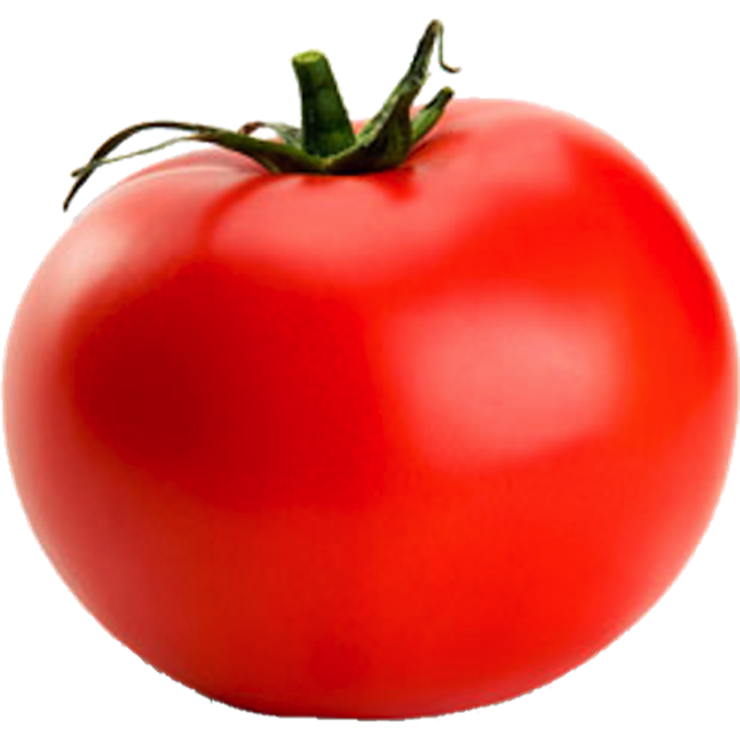 Tomato