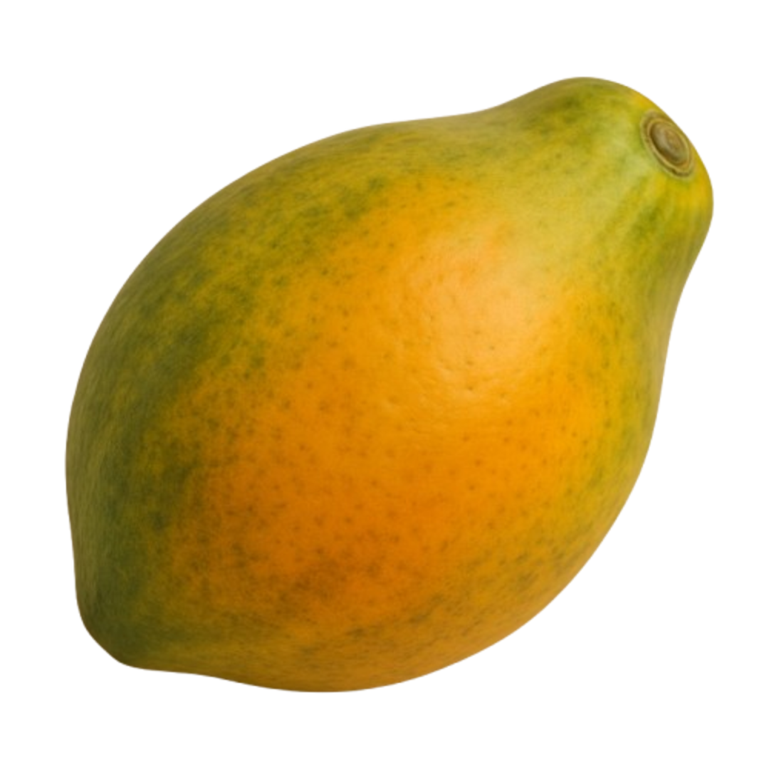 Papaya (Large)