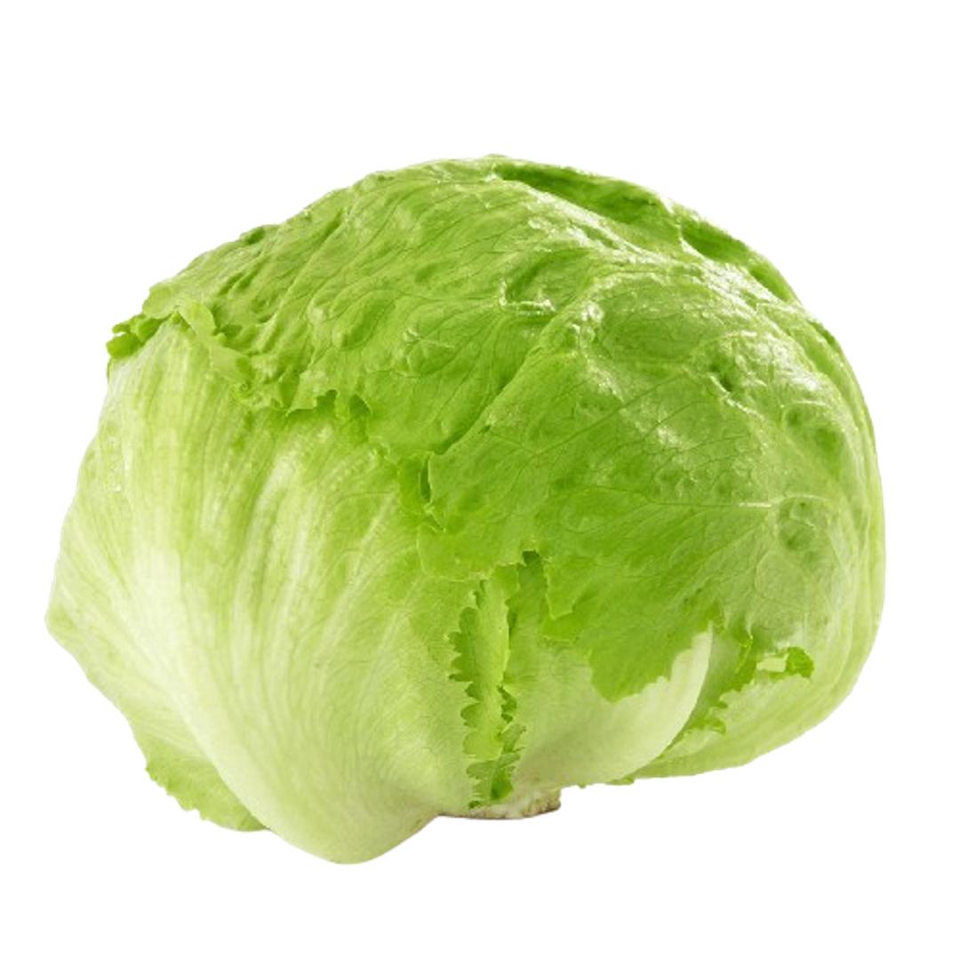 Lettuce
