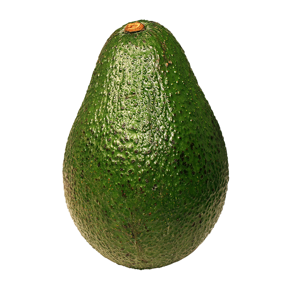 Avocado